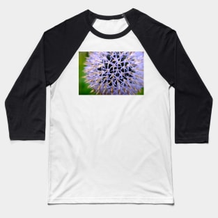 Small Globe Thistle 8 Baseball T-Shirt